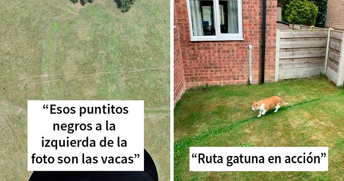 «Caminos del deseo»: 40 fotos mostrando lo que ocurre cuando los planificadores urbanos no entienden lo que necesita la gente